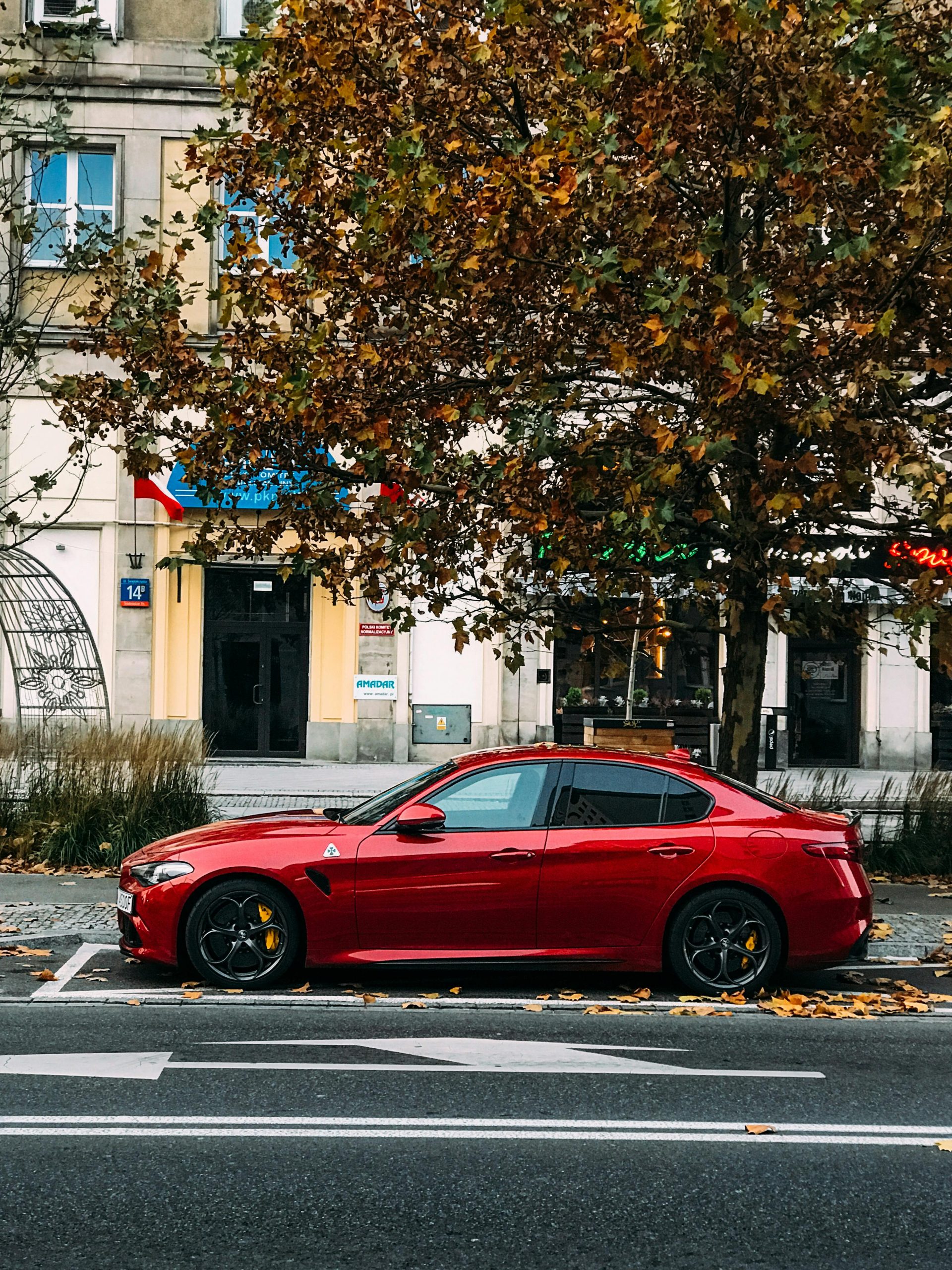 Home A sleek red sports car parked on a city street lined with autumn trees.